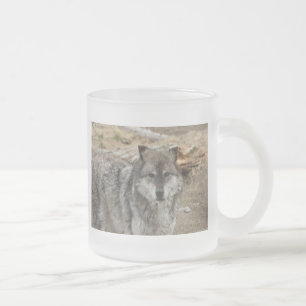 Wolf Tier Gesicht Augen Hunde Wald Zoo Park Mattglastasse