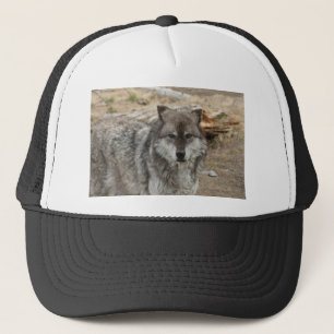 Wolf Tier Gesicht Augen Hunde Wald Zoo Park Truckerkappe