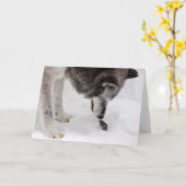 Wolf trifft Maus Karte (Gelbe Blume)