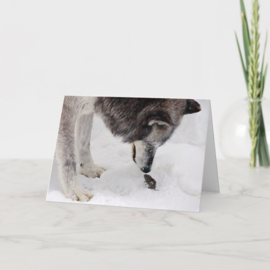 Wolf trifft Maus Karte (Vorderseite)
