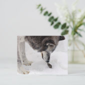 Wolf trifft Maus Postkarte (Stehend Vorderseite)