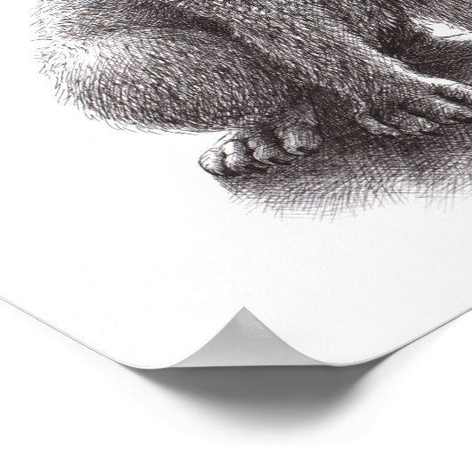 Wolf trifft Owls Poster (Ecke)