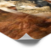 Wolf Trio Poster (Ecke)