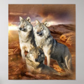 Wolf Trio Poster (Vorne)