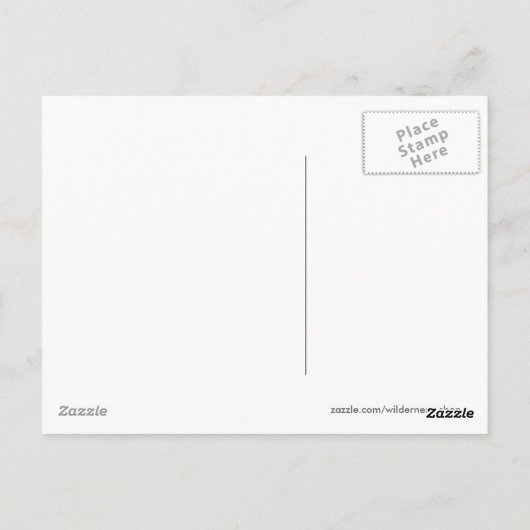 WOLF u. EAGLE-Tier-Postkarten-Reihe Postkarte (Rückseite)