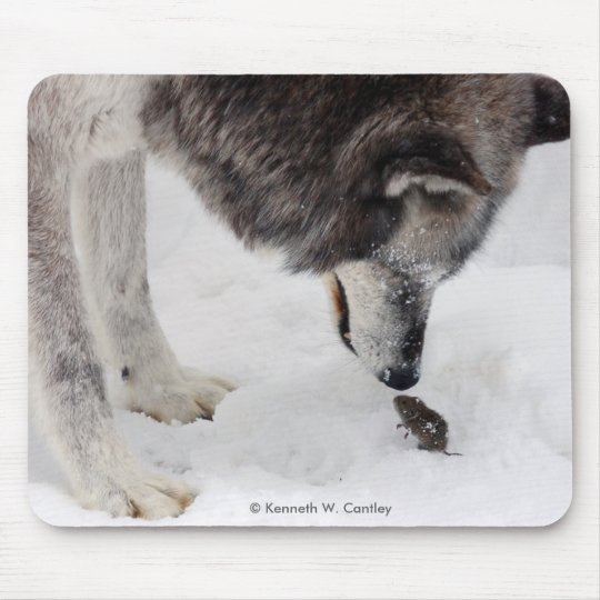 wolf_u_maus_mousepad rd866b76b484046c3ac94be7730f99d47_x74vi_8byvr_540