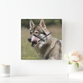 Wolf-Uhr Quadratische Wanduhr (Zuhause)