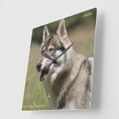 Wolf-Uhr Quadratische Wanduhr (Winkel)