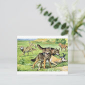 Wolf und Kojote Postkarte (Stehend Vorderseite)