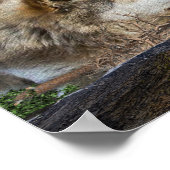 Wolf und Mond Poster (Ecke)