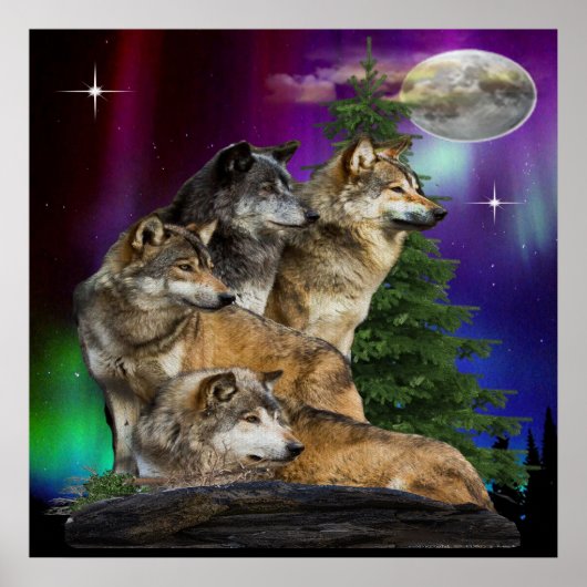 Wolf und Mond Poster (Vorne)