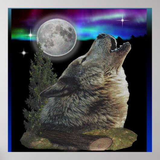 Wolf und Mond Poster (Vorne)