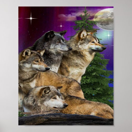 Wolf und Mond Poster (Vorne)
