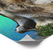 Wolf- und Mondposter Poster (Ecke)