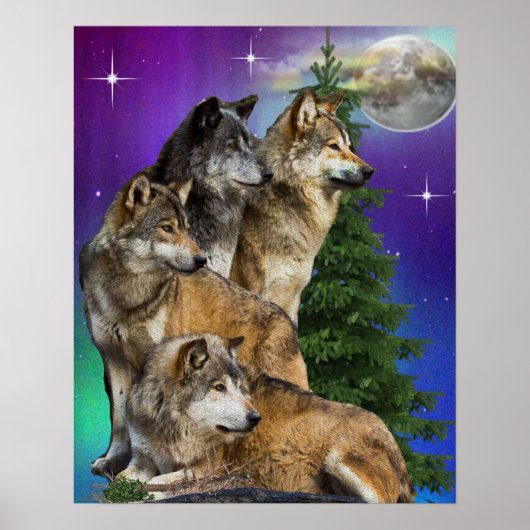 Wolf- und Mondposter Poster (Vorne)