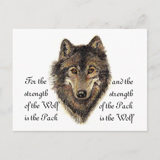Wolf- und Packquote - Tiersammlung Postkarte (Vorderseite)