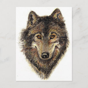 Wolf- und Packquote - Tiersammlung Postkarte