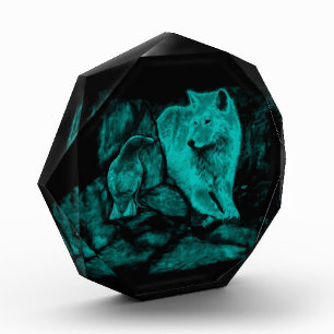 Wolf und Raven in der Nacht Fotoblock