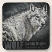 WOLF:Untersetzer aus Hartkunststoff Getränkeuntersetzer (Vorderseite)