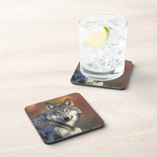 Wolf Untersetzer Set (Rechte Seite)