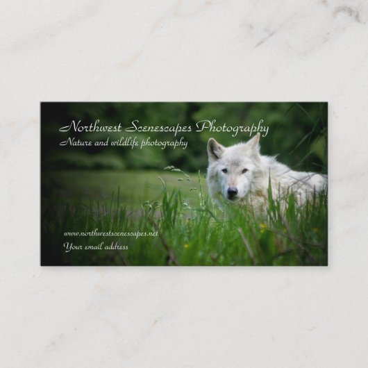 Wolf-Visitenkarte Visitenkarte (Vorderseite)