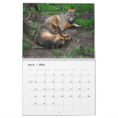 Wolf-Wandkalender Kalender (Mär 2026)