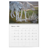 Wolf-Wandkalender Kalender (Feb 2026)