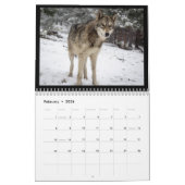 Wolf-Wandkalender Kalender (Feb 2026)