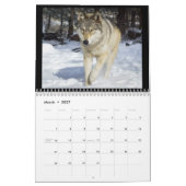 Wolf-Wandkalender Kalender (Mär 2027)