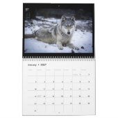 Wolf-Wandkalender Kalender (Jan 2027)