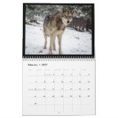 Wolf-Wandkalender Kalender (Feb 2027)
