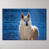 Wolf Warrior Poster (Vorne)