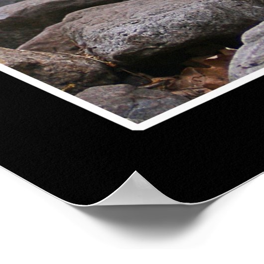 Wolf Watch Poster (Ecke)