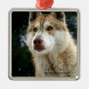 Wolf-Weihnachtsbaum-Verzierung Silbernes Ornament