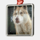 Wolf-Weihnachtsbaum-Verzierung Silbernes Ornament (Links)