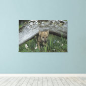 Wolf Welpe geht unter Protokoll Leinwanddruck (Insitu (Holzboden))