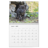 Wolf Welpen 2027 Kalender (Mär 2027)