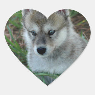 Wolf-Welpen-Aufkleber Herz-Aufkleber