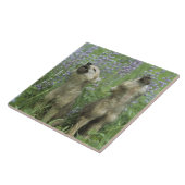 Wolf-Welpen, die in der Wiese heulen Fliese (Seite)