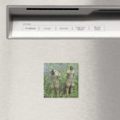 Wolf Welpen heulen auf Wiese Magnet (In Situ (Geschirrspüler))