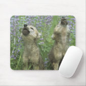 Wolf Welpen heulen auf Wiese Mousepad (Mit Mouse)