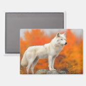 Wolf Wild Animal Loving Portrait Magnet (Vorderseite/Rückseite)