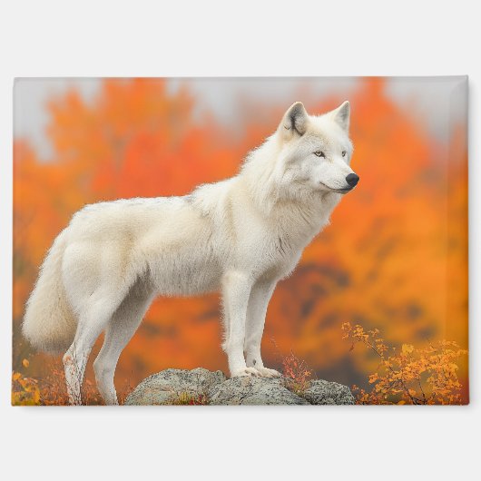 Wolf Wild Animal Loving Portrait Magnet (Vorderseite)