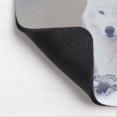 Wolf Wildtier Liebendes Porträt Mousepad (Ecke)