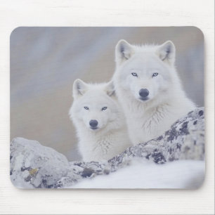 Wolf Wildtier Liebendes Porträt Mousepad
