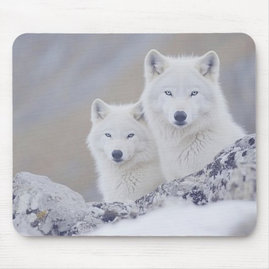Wolf Wildtier Liebendes Porträt Mousepad (Vorne)