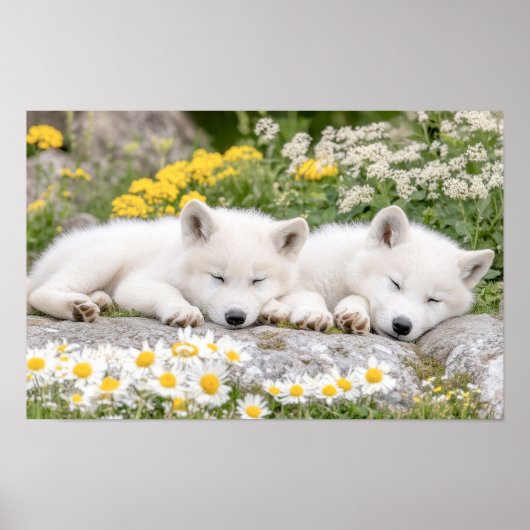 Wolf Wildtier Liebendes Porträt Poster (Vorne)