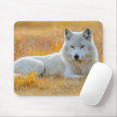 Wolf Wildtier Liebhaberporträt Mousepad (Mit Mouse)