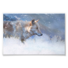 WOLF WINTERGEBIETE FOTODRUCK