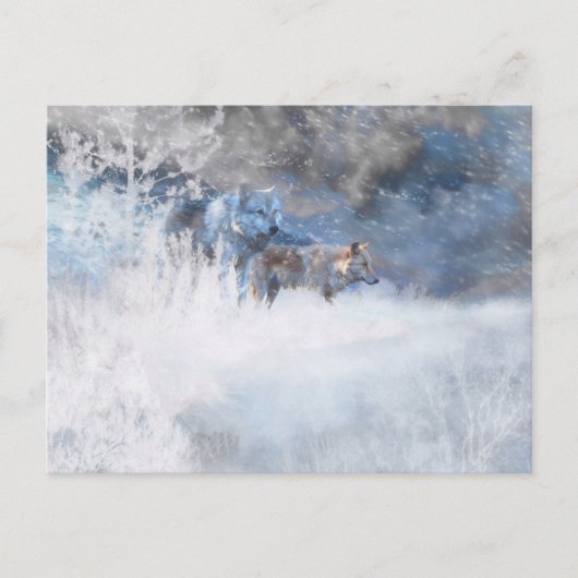WOLF WINTERGEBIETE POSTKARTE (Vorderseite)
